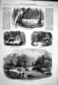 Old 1858 Canada Wild Turkey Shooting Deer Stalking Escoumains River S Victorian