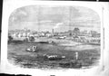 Original Old Antique Print 1858 Prince Consort Model Farm Osborne Sheep Cattle