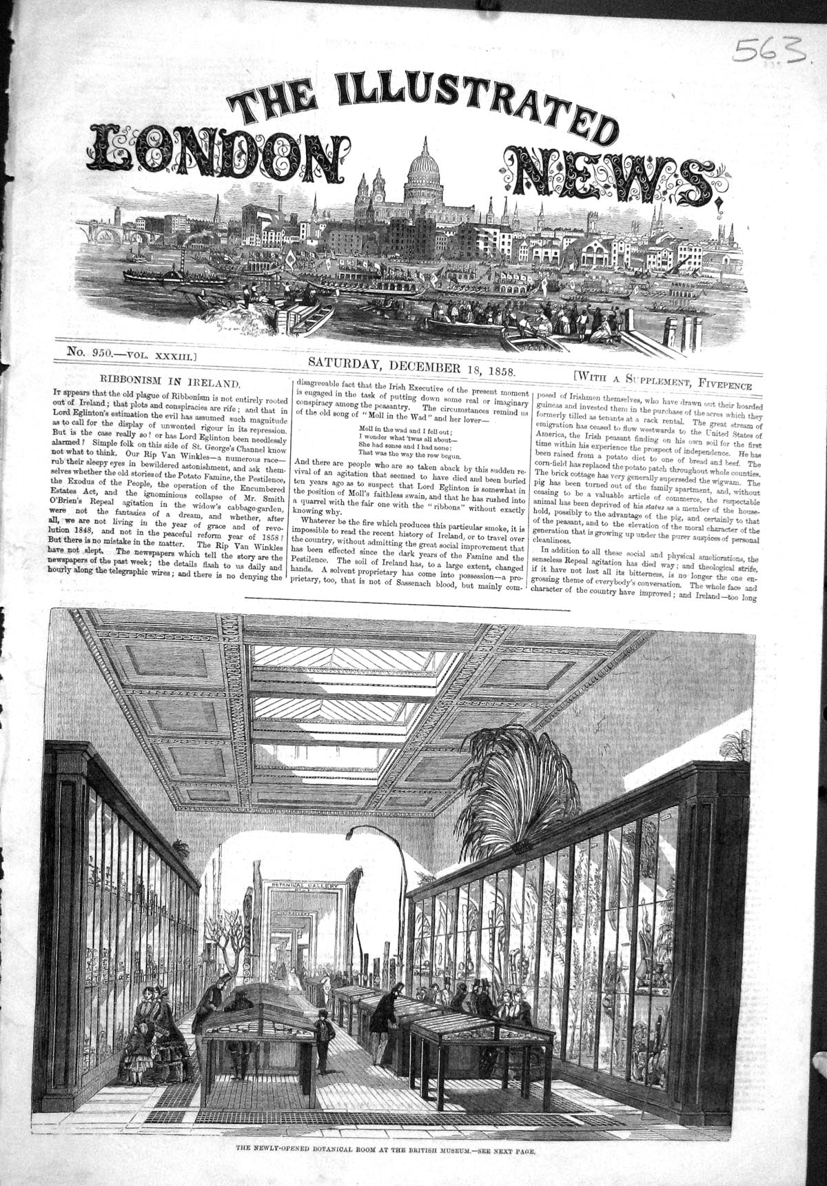 Old Antique Print *6044 1858 Newly-Opened Botanical Room British Museum