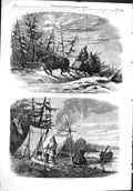 Antique Print 1858 Moose Hunting Canada Encampment Bull-Moose Feeding Sport