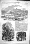 Old 1858 Madagascar Antananarivo Prince Procession Travellers Tree Sp Victorian