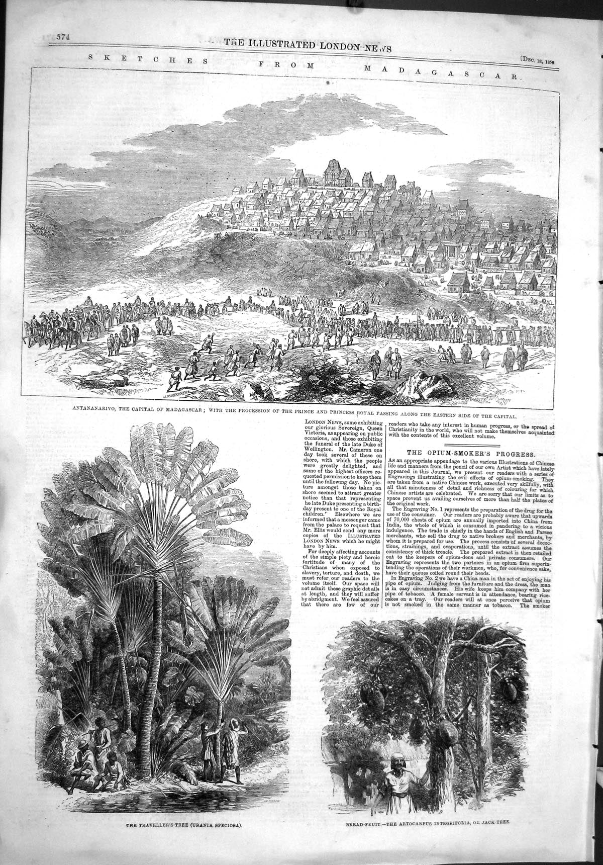 Old 1858 Madagascar Antananarivo Prince Procession Travellers Tree Sp Victorian