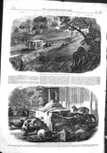 Old 1858 Dawk Travellers India Tiger Palkee-Bearers Palanquin Hyenas Victorian