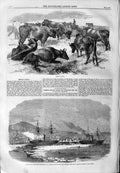 Old Antique Print 1859 Breton Cattle Newfoundland Mail Ships Nova Scotia 19th