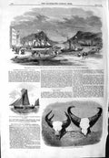 Original Old Antique Print 1859 John'S Newfoundland John Kent Head Gaour Thames