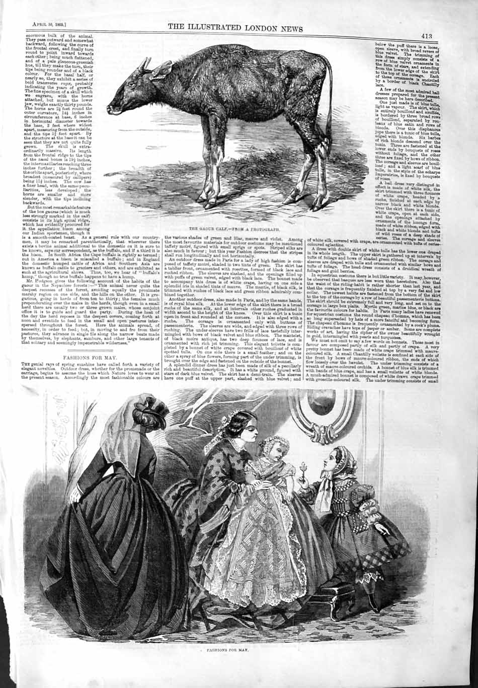 Original Old Antique Print 1859 Gaour Calf Animal Ladies Womens Fashion Dresses