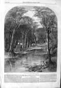 Original Old Antique Print 1859 Rook Shooting Birds Forest Trees Sport Fine Art