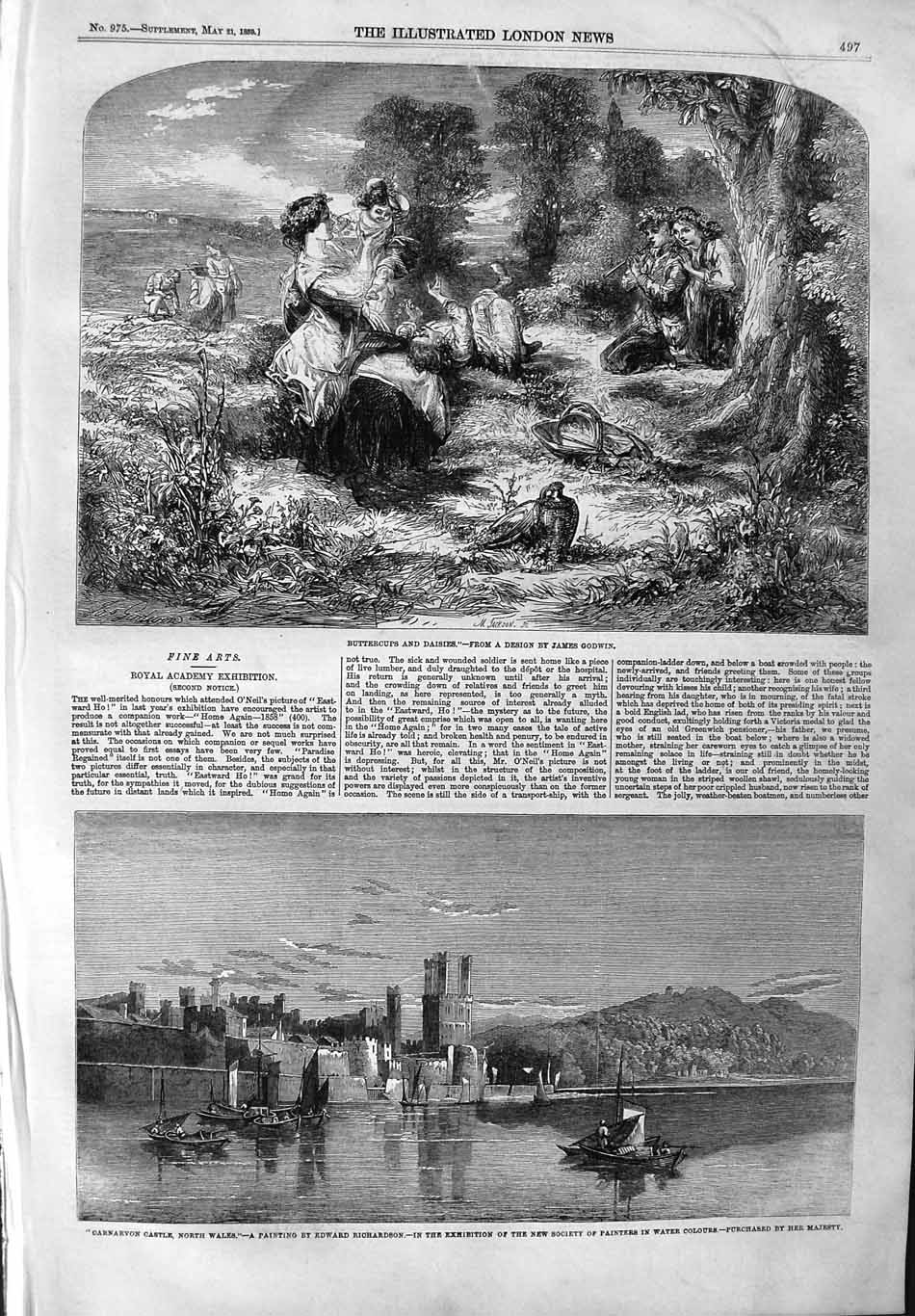Original Old Antique Print 1859 Buttercups Daisies Carnarvon Castle Wales Boats