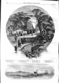 Old Antique Print 1859 Ship Wreck Royal Mail Steam Paramatta West India 19th