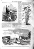 Original Old Antique Print 1859 Master Henri Ketten Walton Bridge Sugar Grass