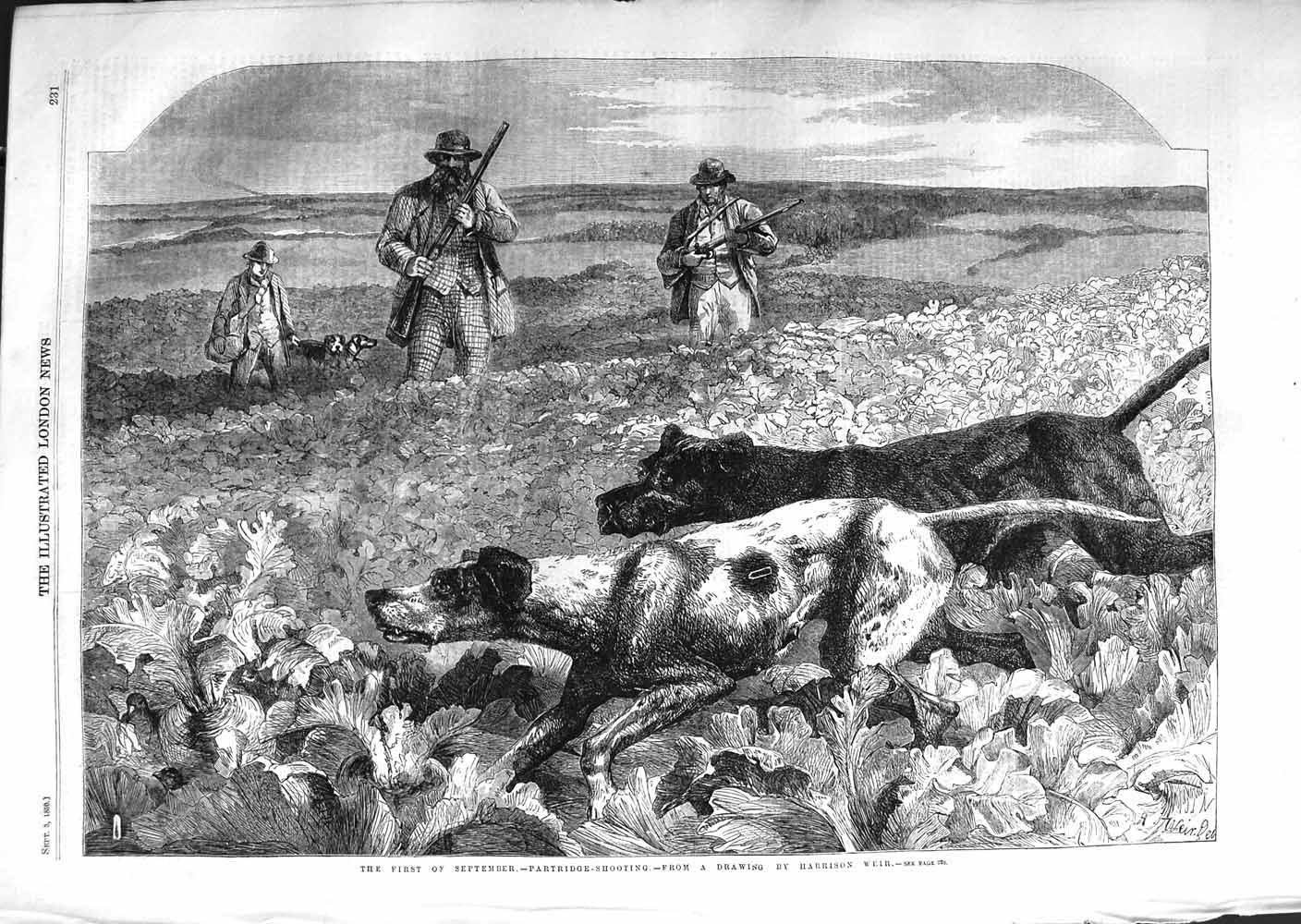 Original Old Antique Print 1859 Partridge Shooting Men Hunting Sport Scotland