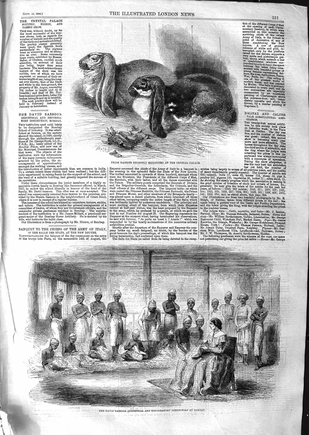 Old Antique Print 1859 Prize Rabbits Crystal Palace David Sassoon Bombay 19th