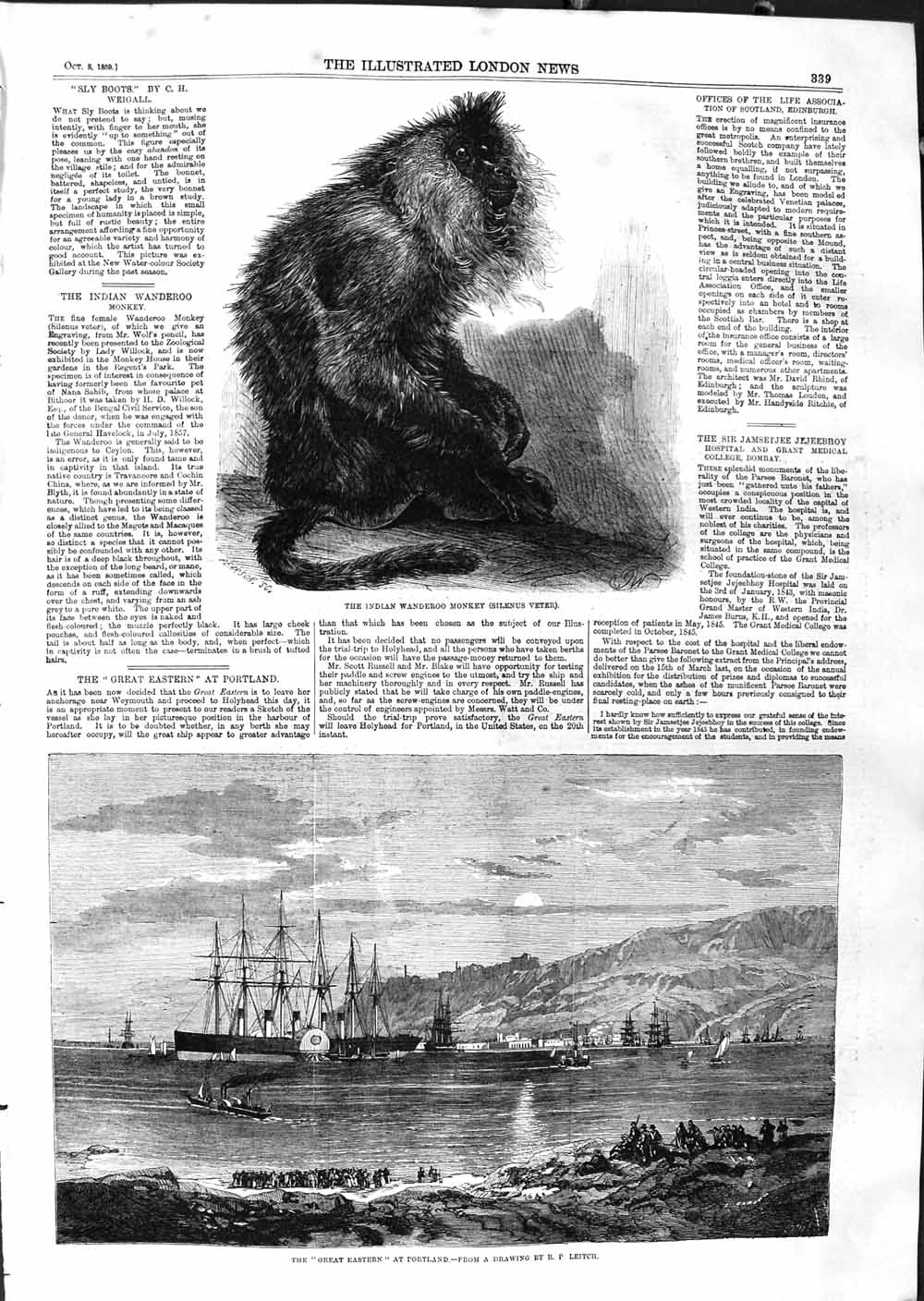 Old Antique Print 1859 Indian Wanderoo Monkey Great Eastern Ship Portland 19th