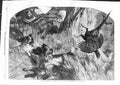Original Old Antique Print 1859 Pheasant Shooting Birds Dogs Hunting Sport 19th