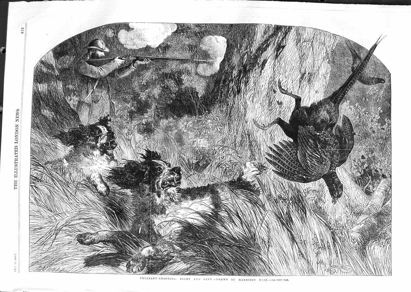 Original Old Antique Print 1859 Pheasant Shooting Birds Dogs Hunting Sport 19th