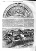 Original Old Antique Print 1859 Kiang Wild Horse Tibet Bronze Panel Washington