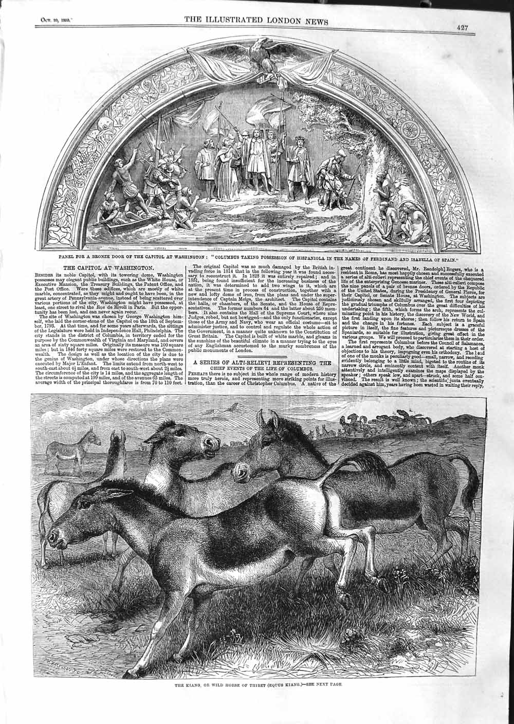 Original Old Antique Print 1859 Kiang Wild Horse Tibet Bronze Panel Washington