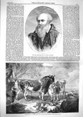 Original Old Antique Print 1859 Portrait James Ward Cattle Goats Farm Animals
