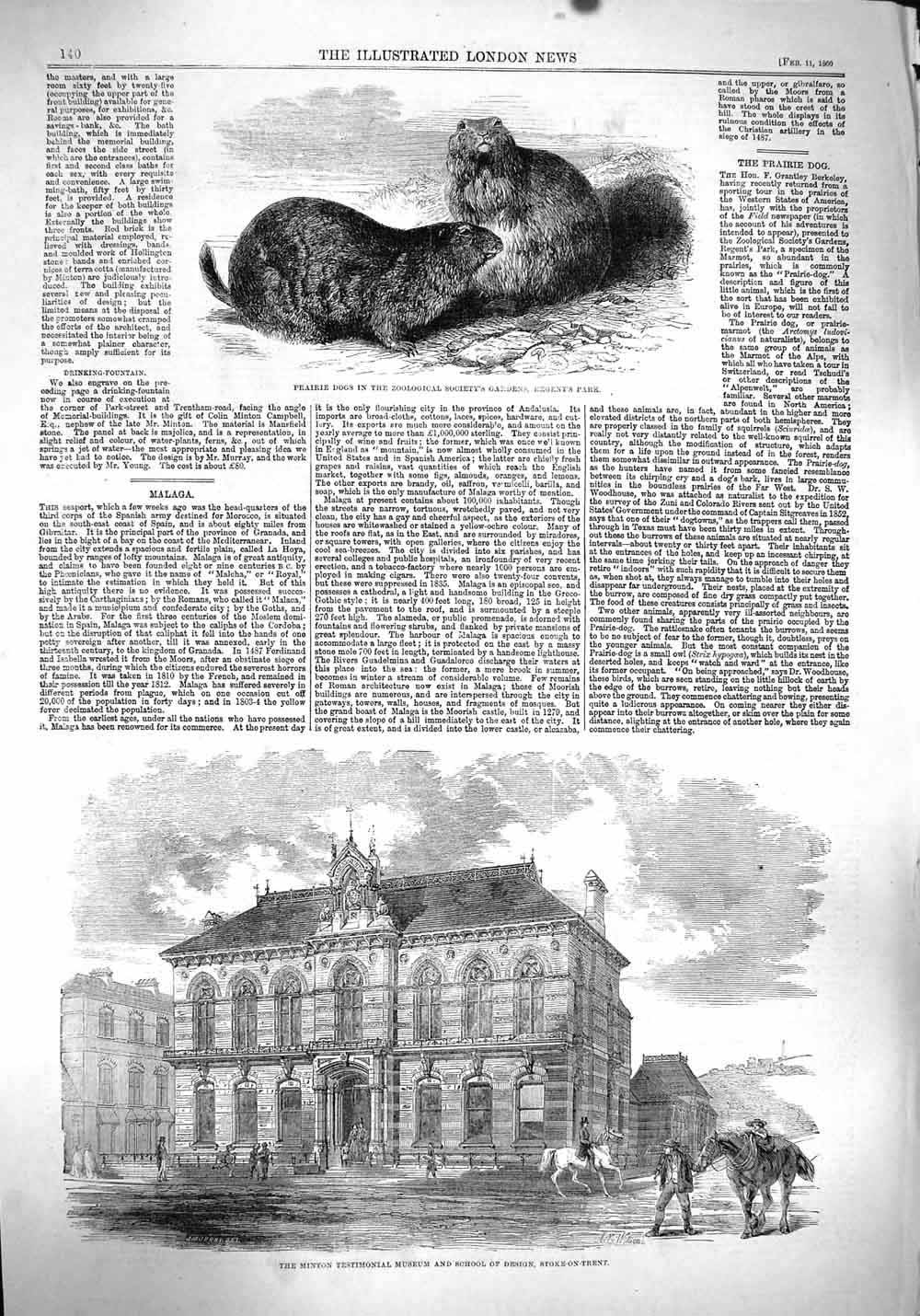 Old Antique Print 1860 Prairie Dogs Minton Musuem School Stoke-On-Trent 19th