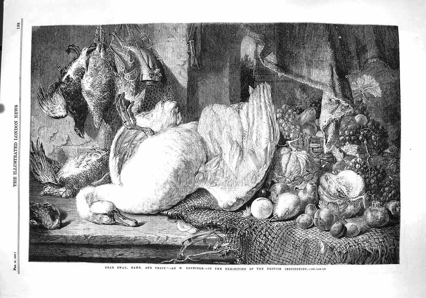 Original Old Antique Print 1860 Dead Swan Game Birds Fruit Duffield Fine Art