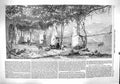 Original Old Antique Print 1860 Scene Under Vines Italy Wine Growing Grapes