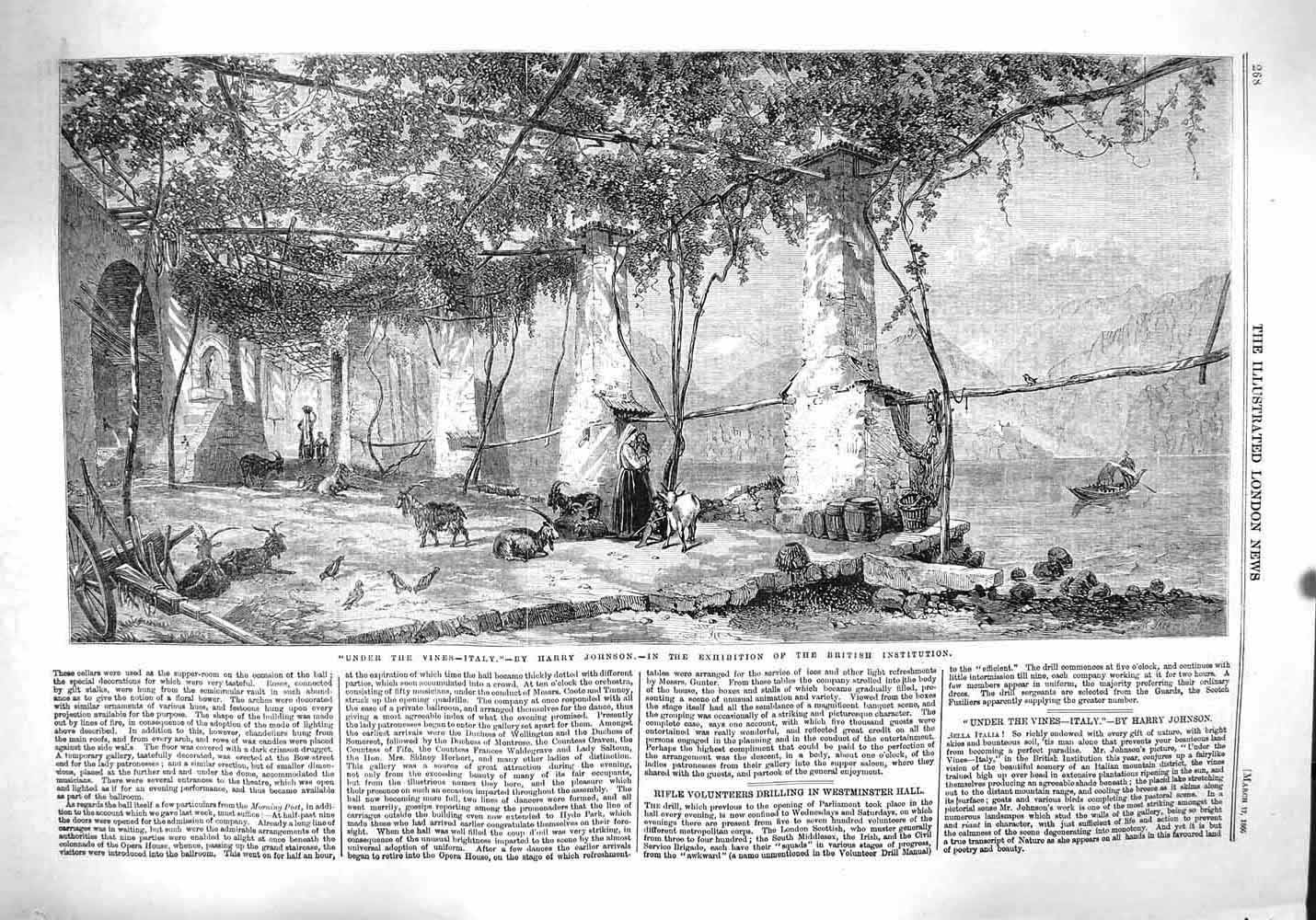 Original Old Antique Print 1860 Scene Under Vines Italy Wine Growing Grapes
