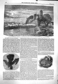 Old Antique Print 1860 River Seine Tancarville Quillebeue Fossil Dulwich 19th