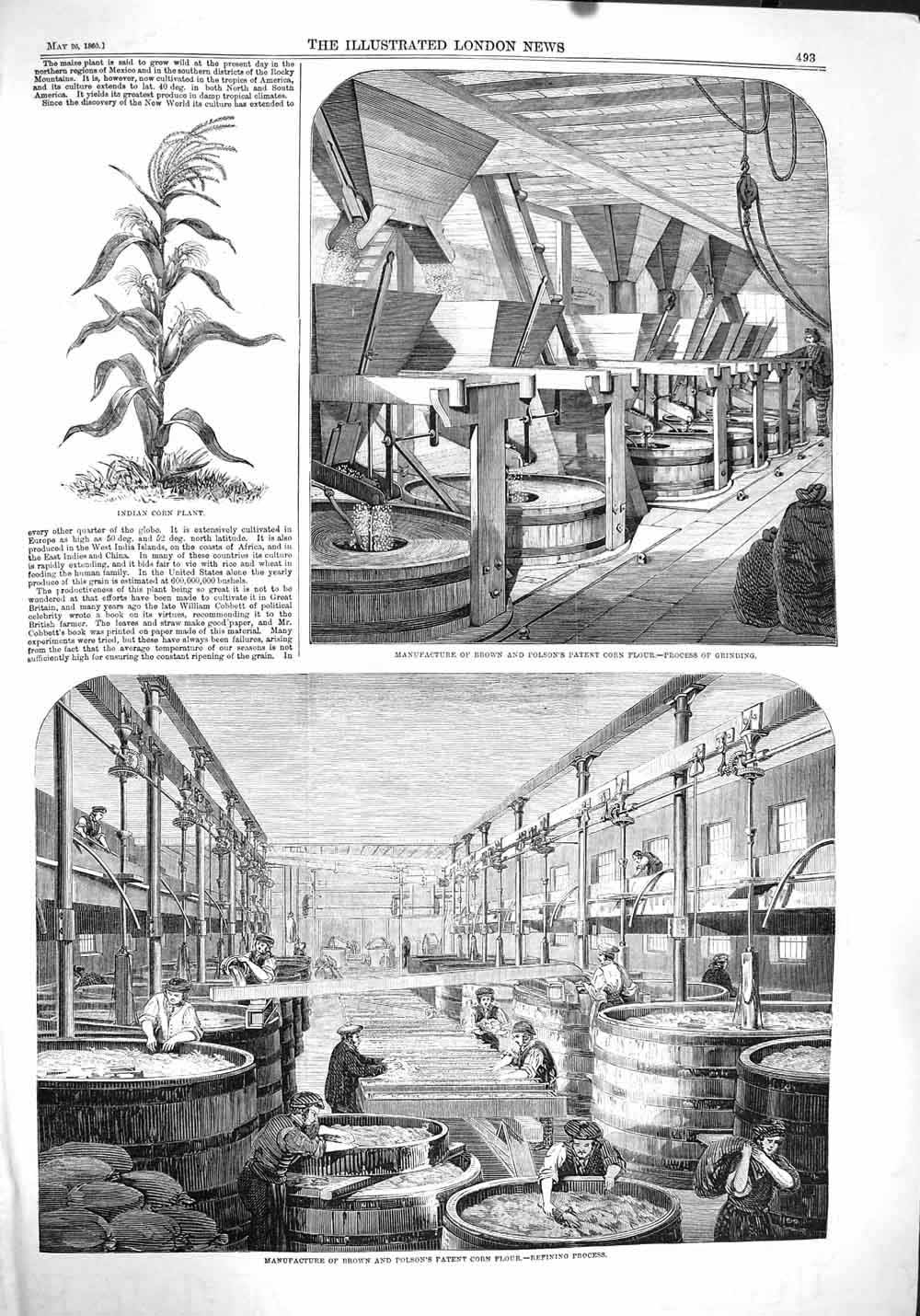 Old Antique Print 1860 Manufacture Brown Polson Patent Corn Flour Plant 19th