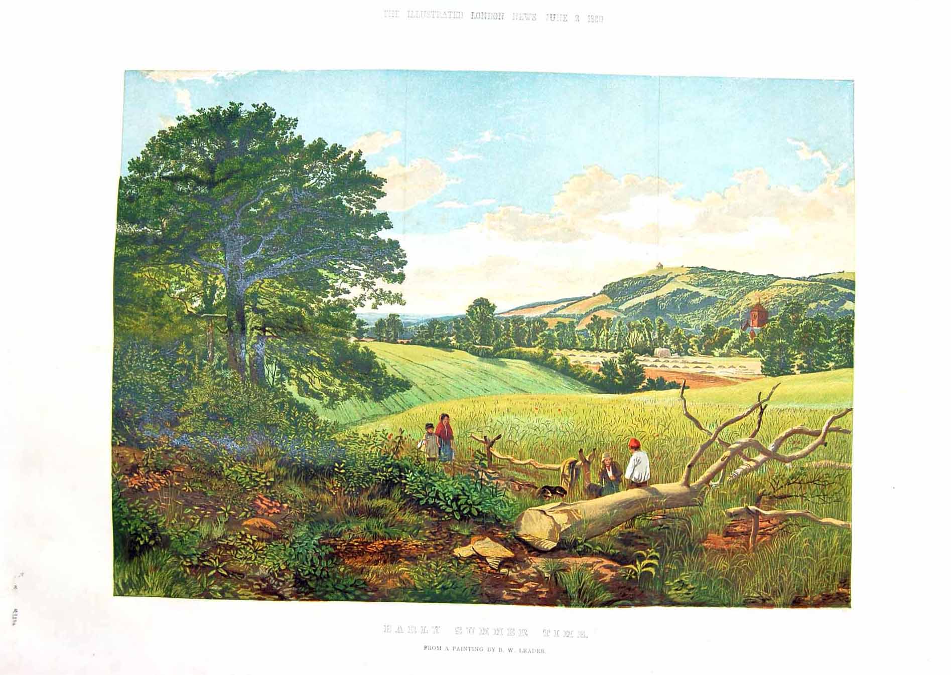 Original Old Antique Print 1860 Colour Landscape Summer Field TreesVictorian