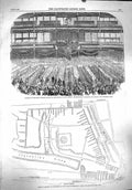 Original Old Antique Print 1860 Scots Fusilier Guard Crystal Palace Plan Hy 19th