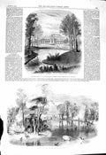 Original Old Antique Print 1860 Garden Acclimatisation Paris Kew Gardens Lake