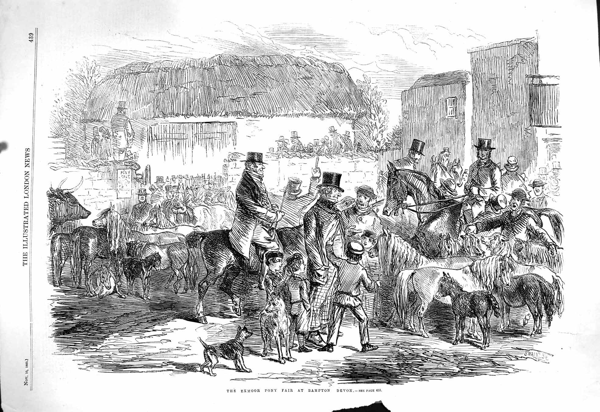Original Old Antique Print Damaged 1860 Exmoor Pony Fair Brampton Devon 19th