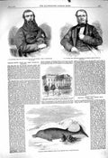 Original Old Antique Print 1860 Malcolm Adams White House Washington Cetacean