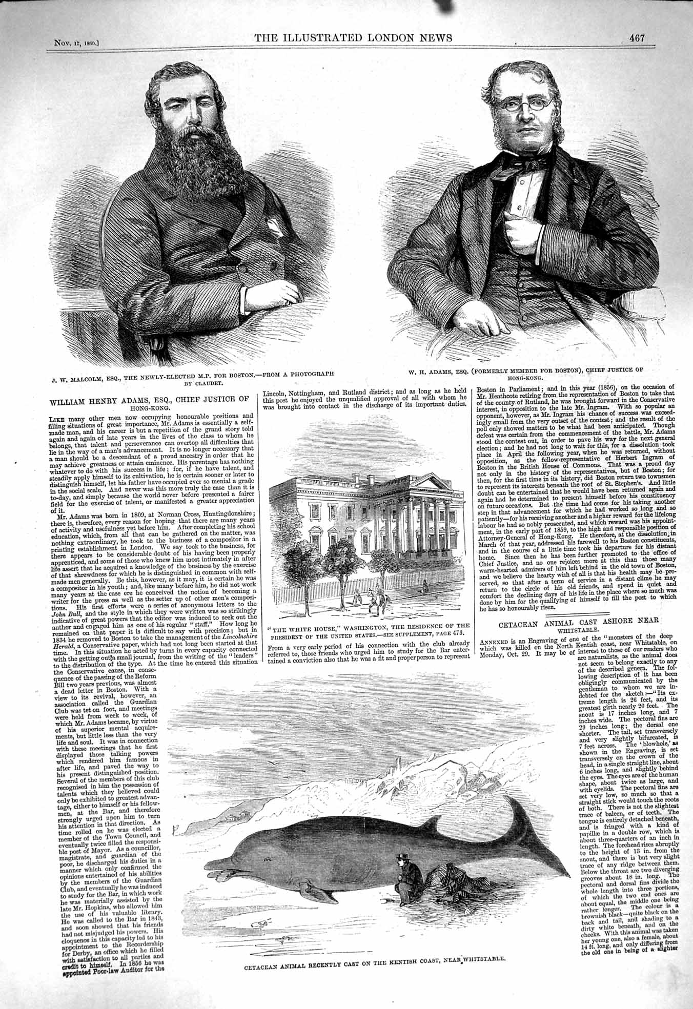 Original Old Antique Print 1860 Malcolm Adams White House Washington Cetacean