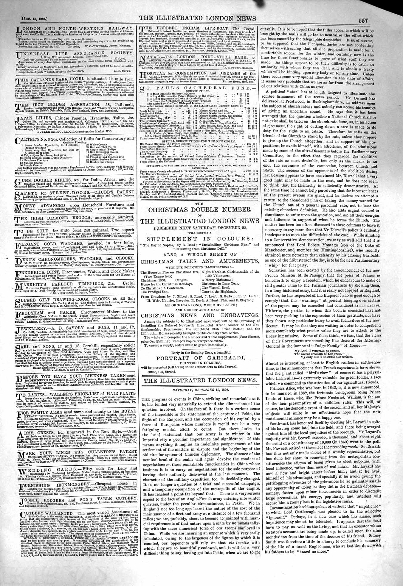 Old Antique Print 1860 Exhibition Dogs Birmingham Deerhound Pointer Alkon 19th