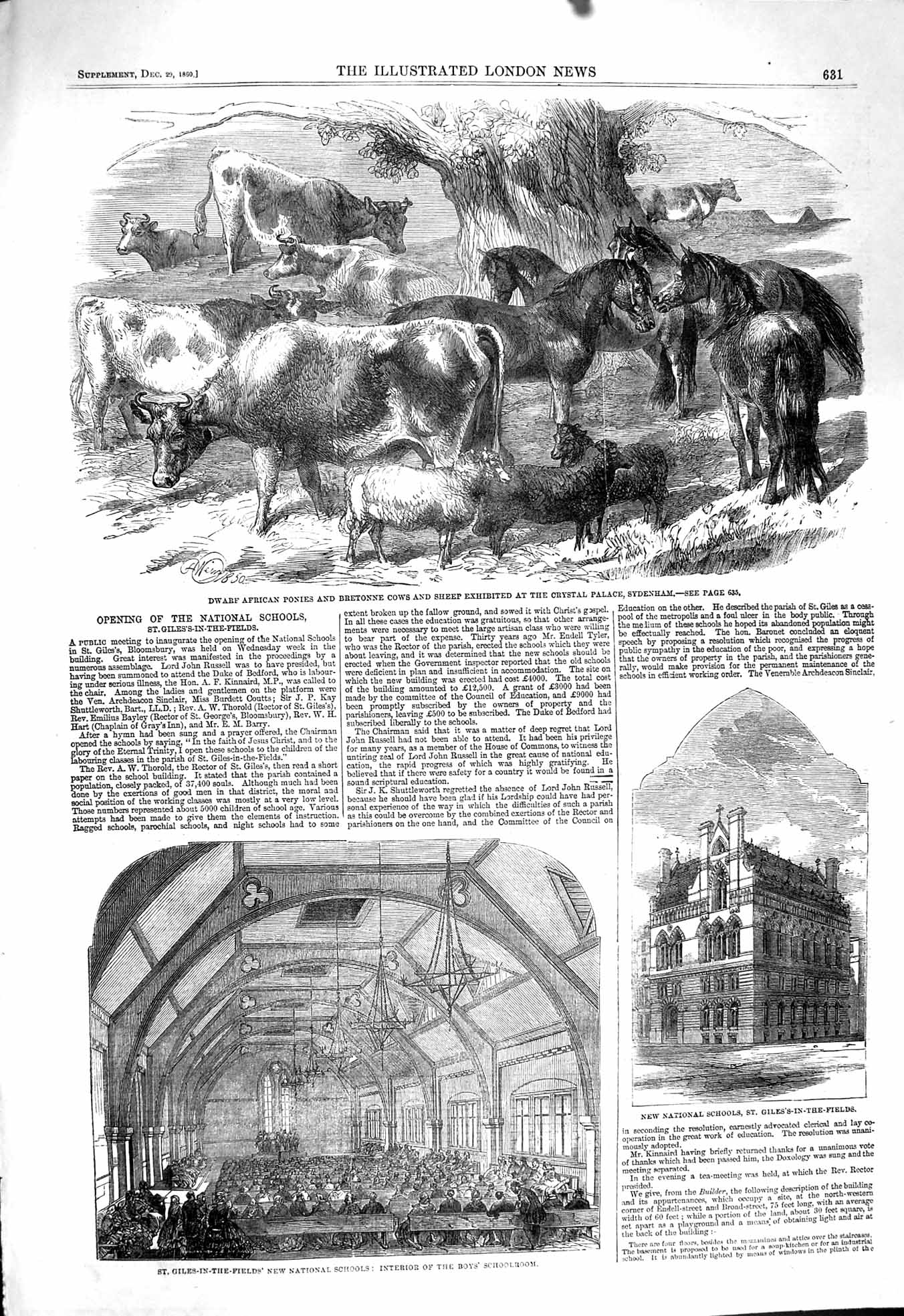 Original Old Antique Print 1860 Dwarf Ponies Bretonne Cows Giles-In-The-Fields