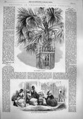 Antique Print *3798 1861 Charleston Palmetto Selling Sweet Potatoes Street