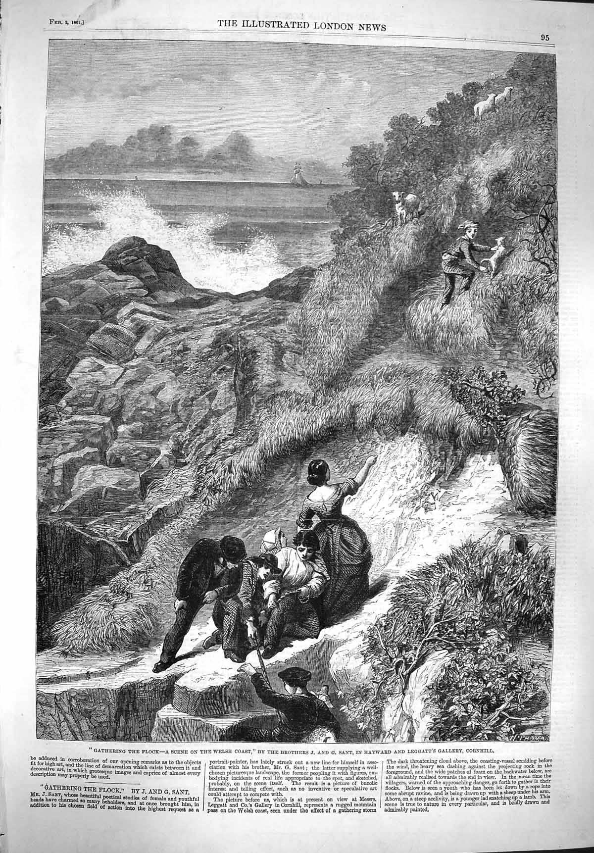 Old Antique Print 1861 Cathering Flock Welsh Coast Sheep Leggatt Gallery 19th