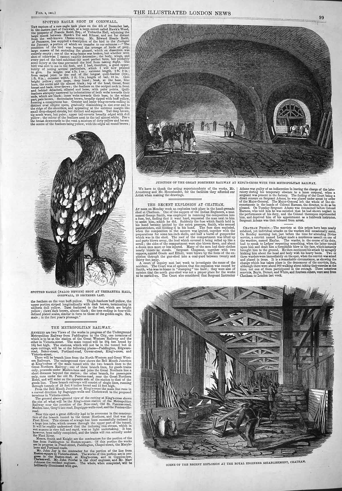 Original Old Antique Print 1861 Spotted Eagle Railway Royal Engineer Chatham