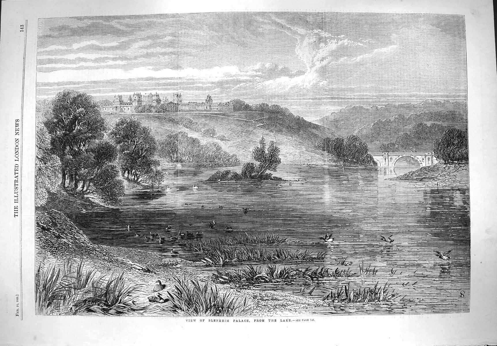 Original Old Antique Print 1861 View Belnheim Palace Lake Bridge Ducks Trees