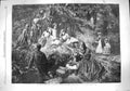 Original Old Antique Print 1861 Holiday Woods Trees Family Day Out Picnic 19th