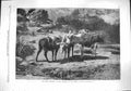 Original Old Antique Print 1861 Three Brothers Rosa Bonheur Fine Art Donkeys