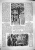 Original Old Antique Print 1861 Nest Building Ape Shelter Hunter Killed Gorilla