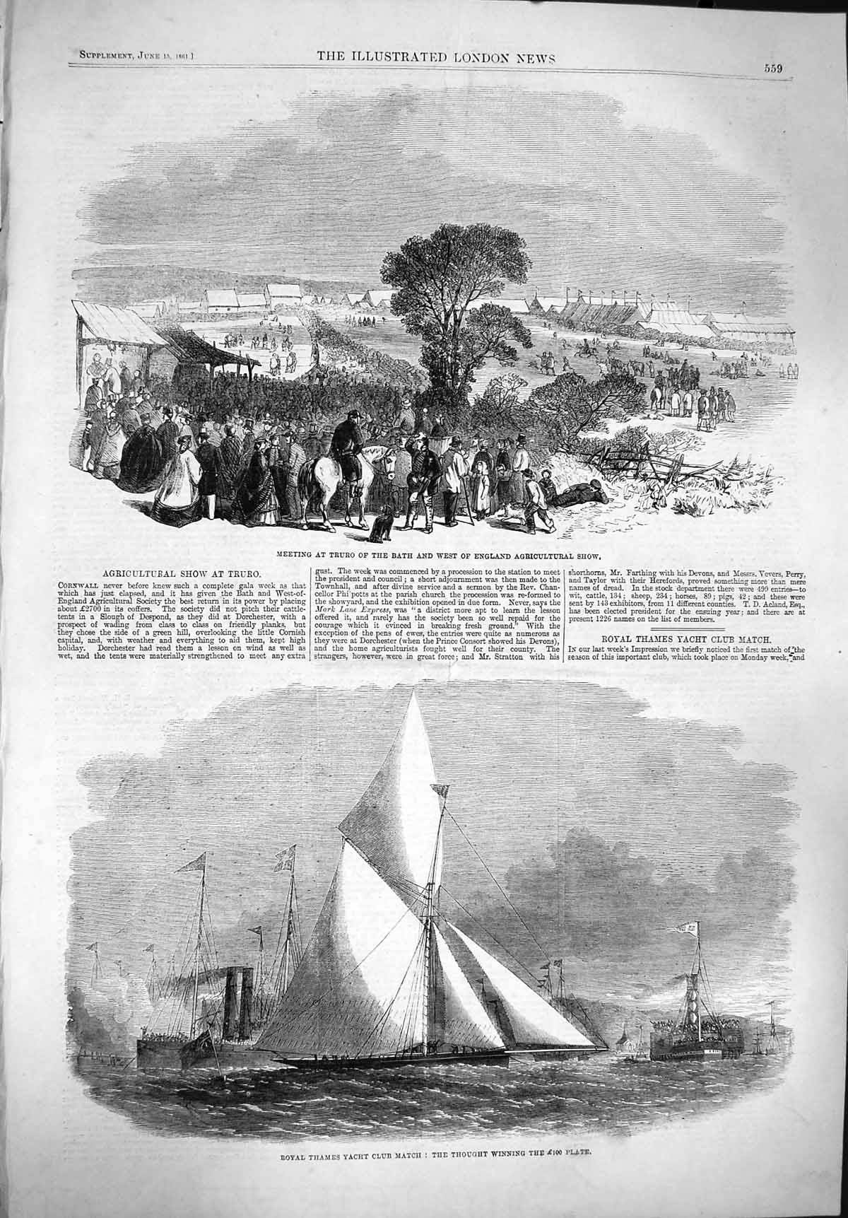 Original Old Antique Print 1861 Truto Bath Agricultural Show Thames Yacht Club