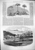 Original Old Antique Print 1861 Marsh Fruit Flowers Horticultural War America