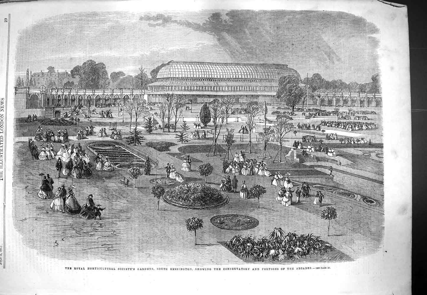 Original Old Antique Print 1861 Horticultural Society Gardens Kensington 19th