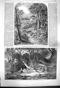 Old Antique Print 1861 Woodland Glade Trees Path Blackdown Surrey Hills 19th