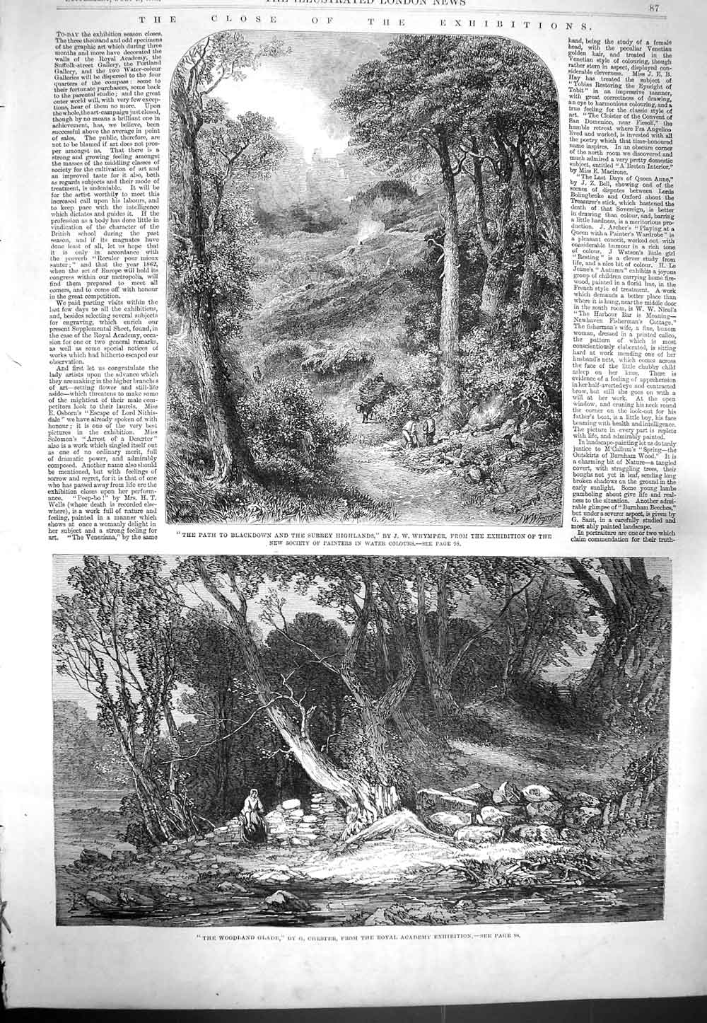 Old Antique Print 1861 Woodland Glade Trees Path Blackdown Surrey Hills 19th