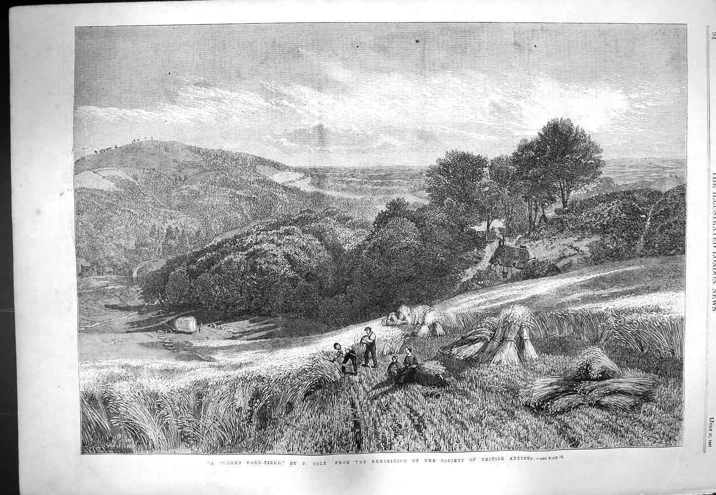 Original Old Antique Print 1861 Surrey Corn Field Agriculture Farming Cole 19th