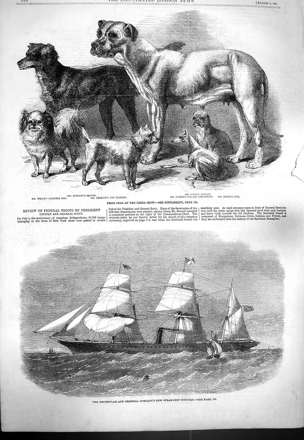 Old Antique Print 1861 Prize Dogs Leeds Show Terrier Steam Ship Mooltan 19th